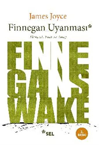 James Joyce: Finnegan Uyanmasi (Hardcover, Sel Yayincilik)